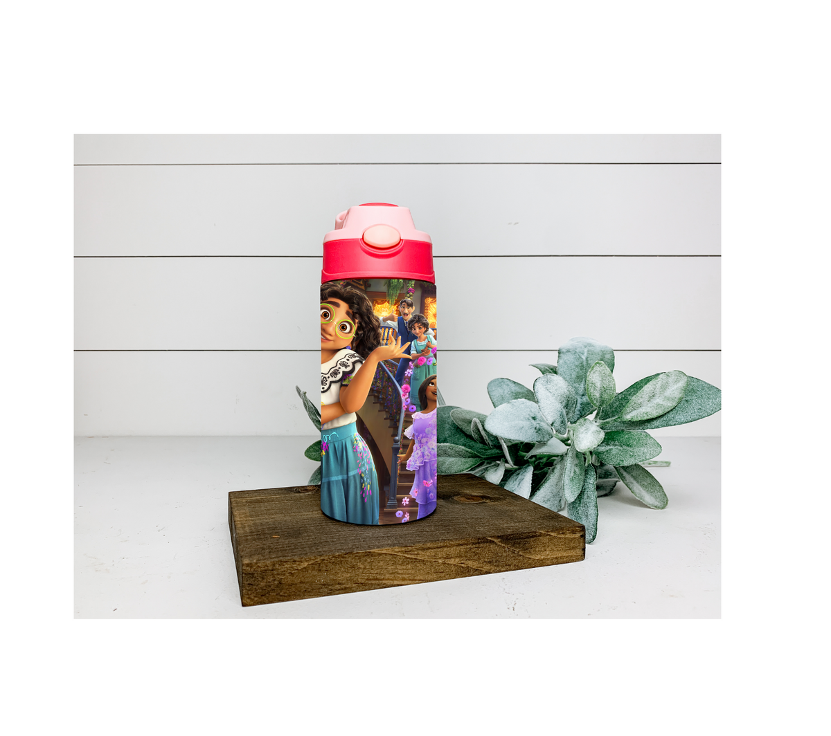 Encanto water bottle – CRAFTEDBYKCREATIONS